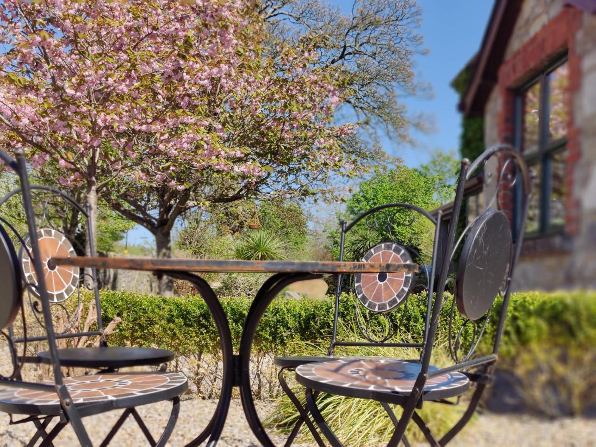 Carney House Bed & Breakfast Sligo Exterior photo